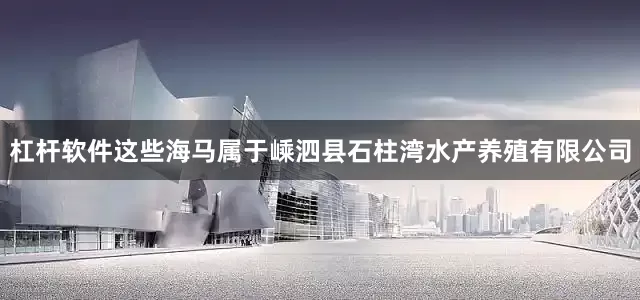 杠杆软件这些海马属于嵊泗县石柱湾水产养殖有限公司